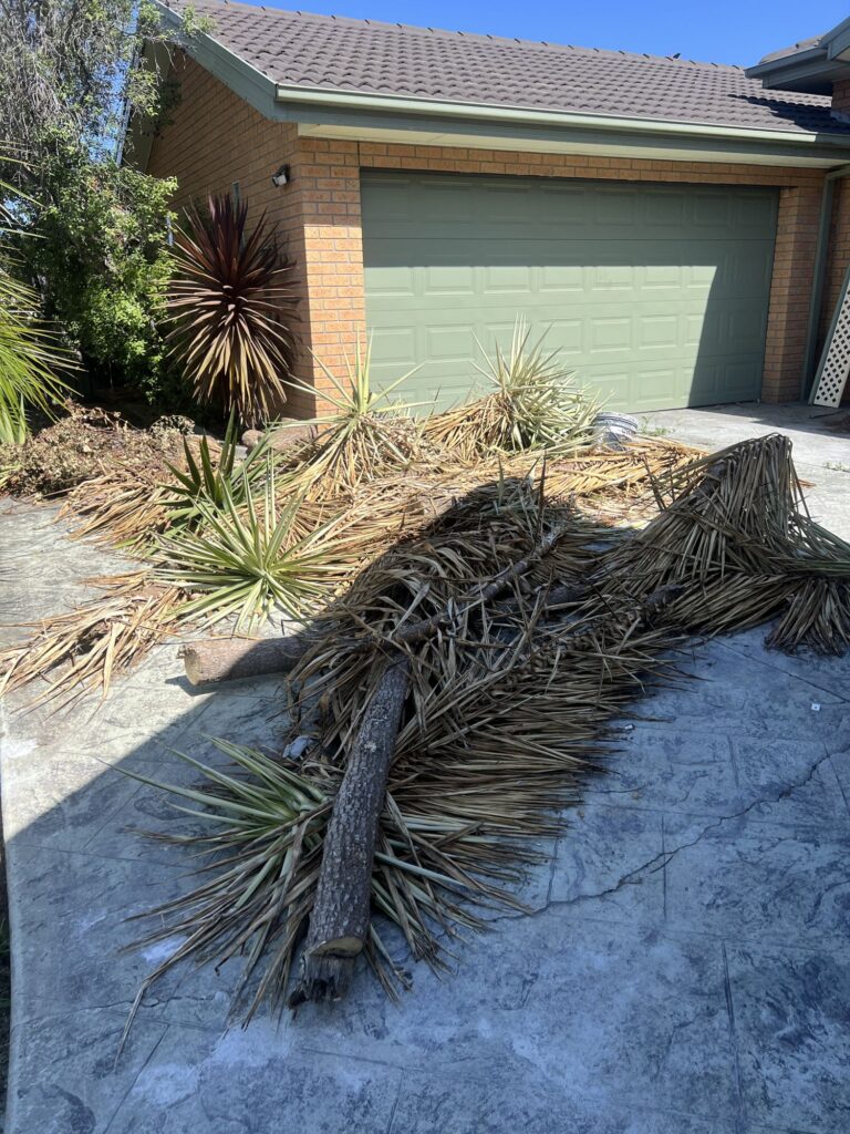 Waste Removal - Auswide Removalists